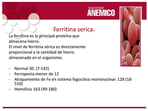 ferritina serica-4